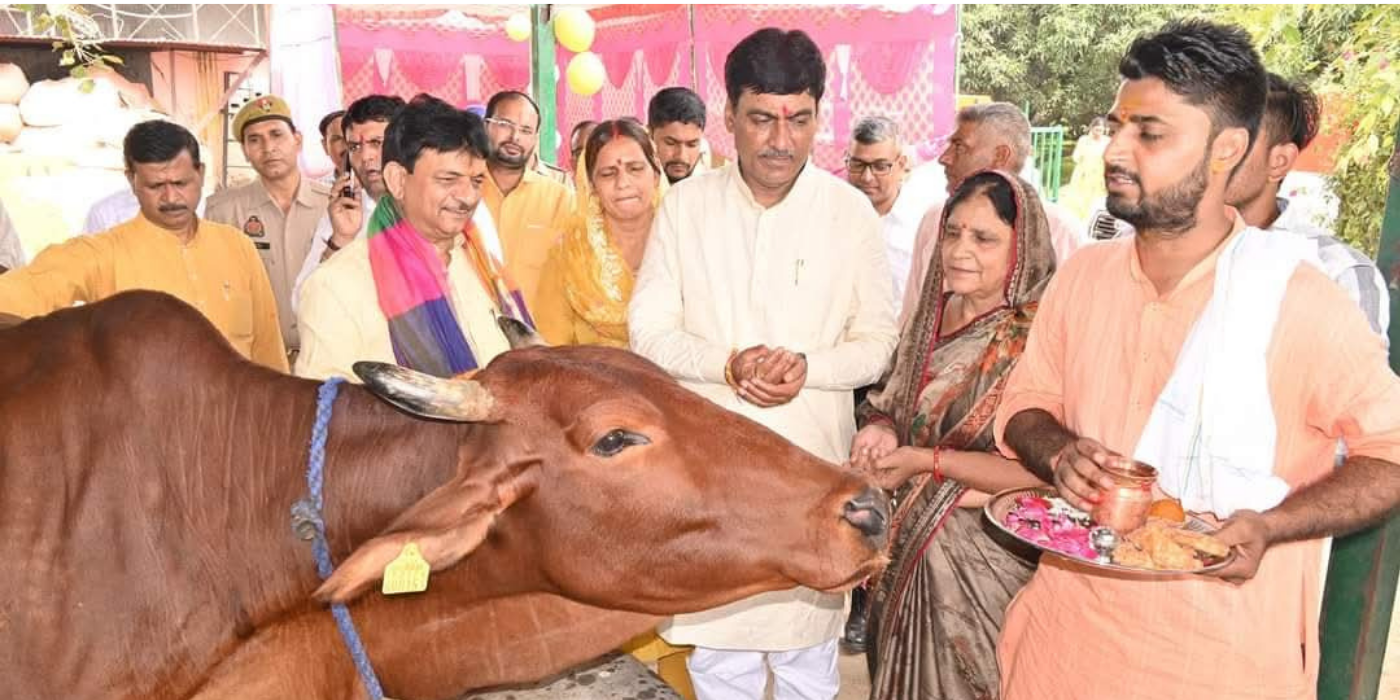 Untitled design - 2025-10-26T000605.119